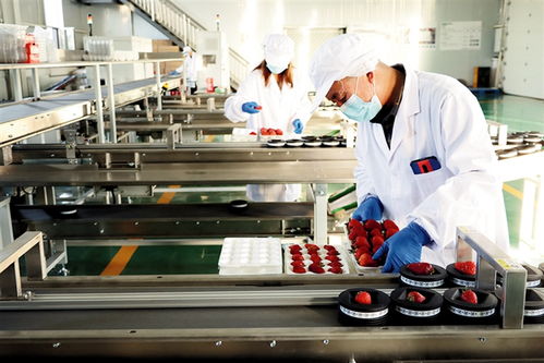 鄂爾多斯 建設(shè)農(nóng)副產(chǎn)品電商服務(wù)中心，賦能養(yǎng)生保健服務(wù)新生態(tài)